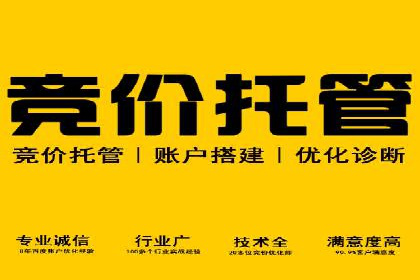 案例分析：百度竞价广告投放技巧